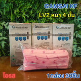 Gamsai LV2