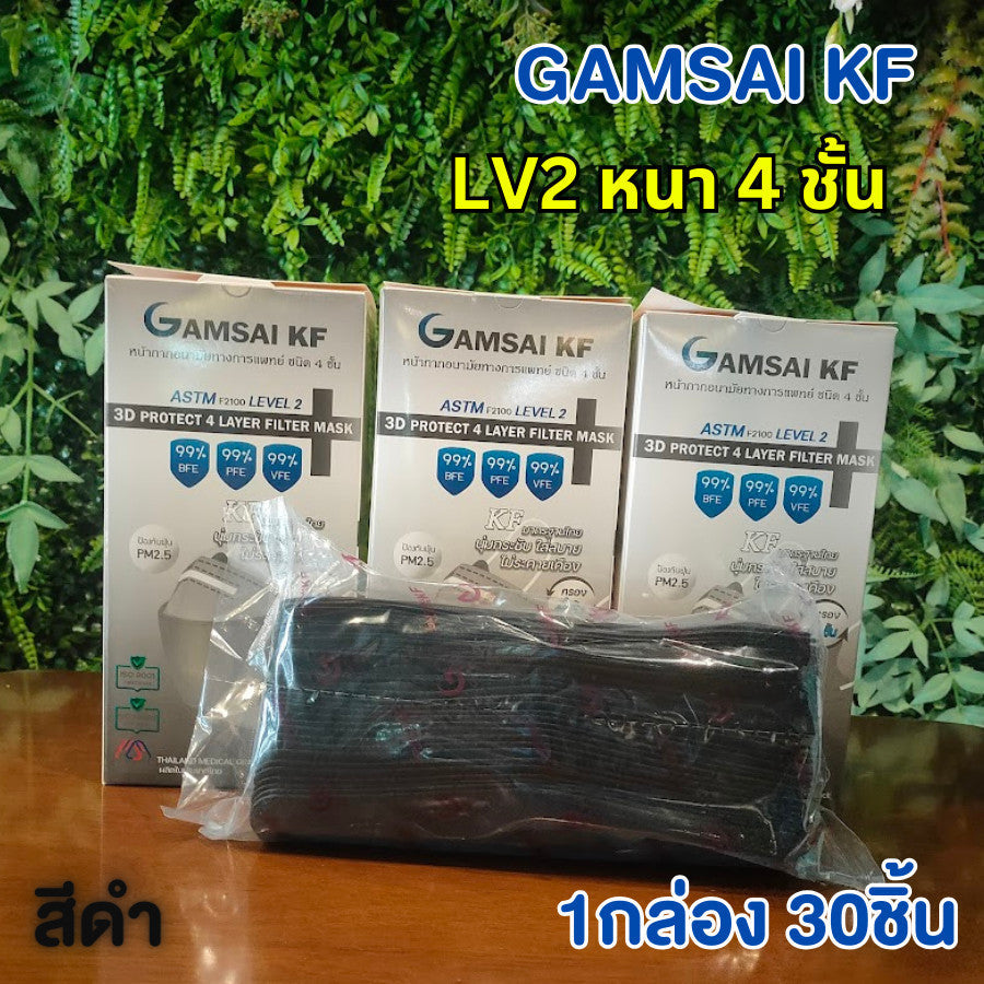Gamsai LV2