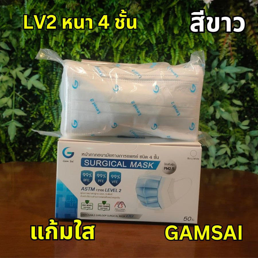 Gamsai LV2