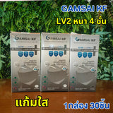 Gamsai LV2
