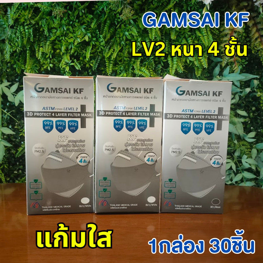 Gamsai LV2