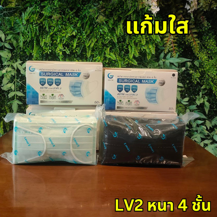 Gamsai LV2