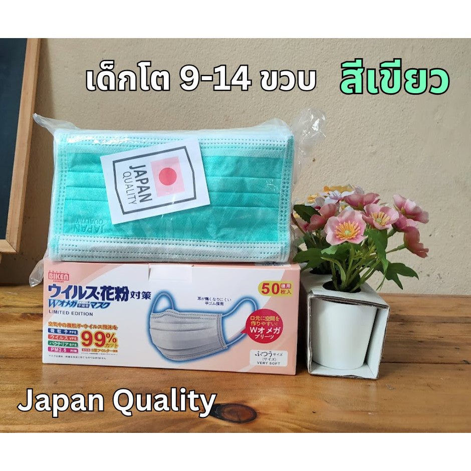 แมสเด็ก 3D ลายการ์ตูน เด็กเล็ก 2-6 ขวบ / เด็กโต 7-13 ขวบ